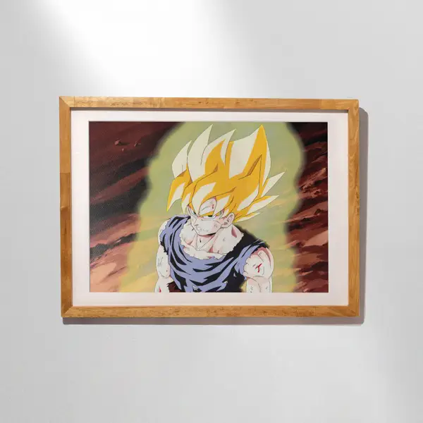 Produits Dragon Ball Store Tokyo Vol. 1 (15)