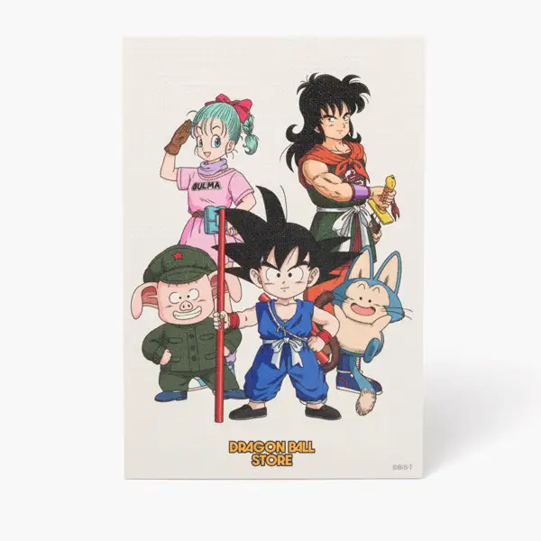 Produits Dragon Ball Store Tokyo Vol. 1 (23)